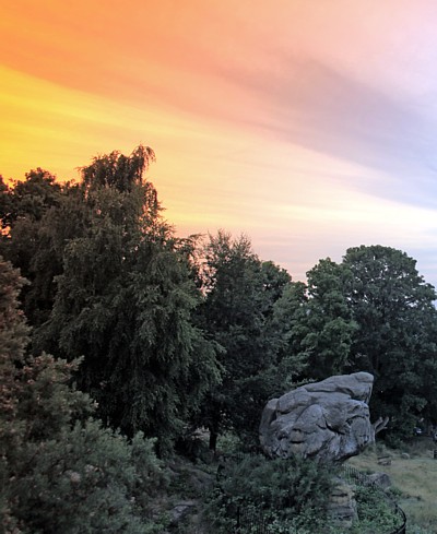 Photo Competition